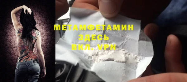 прущие грибы Валдай