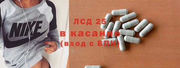 ПСИЛОЦИБИНОВЫЕ ГРИБЫ Няндома