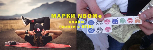 ПСИЛОЦИБИНОВЫЕ ГРИБЫ Няндома