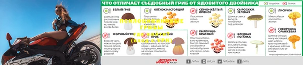 круглые Нягань