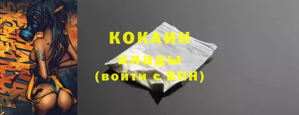 ПСИЛОЦИБИНОВЫЕ ГРИБЫ Няндома