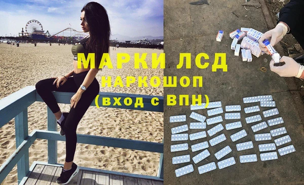 ПСИЛОЦИБИНОВЫЕ ГРИБЫ Няндома