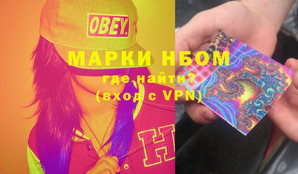 ПСИЛОЦИБИНОВЫЕ ГРИБЫ Няндома