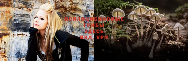 apvp Нязепетровск
