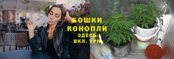 apvp Нязепетровск