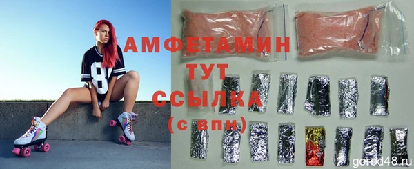 ПСИЛОЦИБИНОВЫЕ ГРИБЫ Няндома