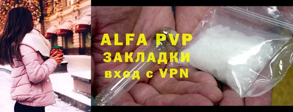 ПСИЛОЦИБИНОВЫЕ ГРИБЫ Няндома