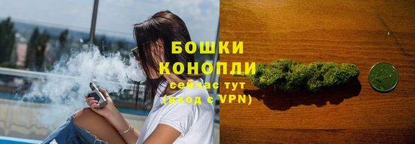 ПСИЛОЦИБИНОВЫЕ ГРИБЫ Няндома